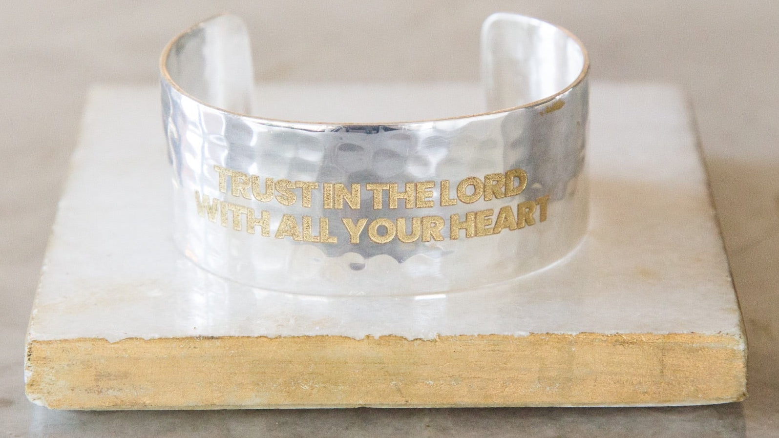 Trust In the Lord Silver 1.0