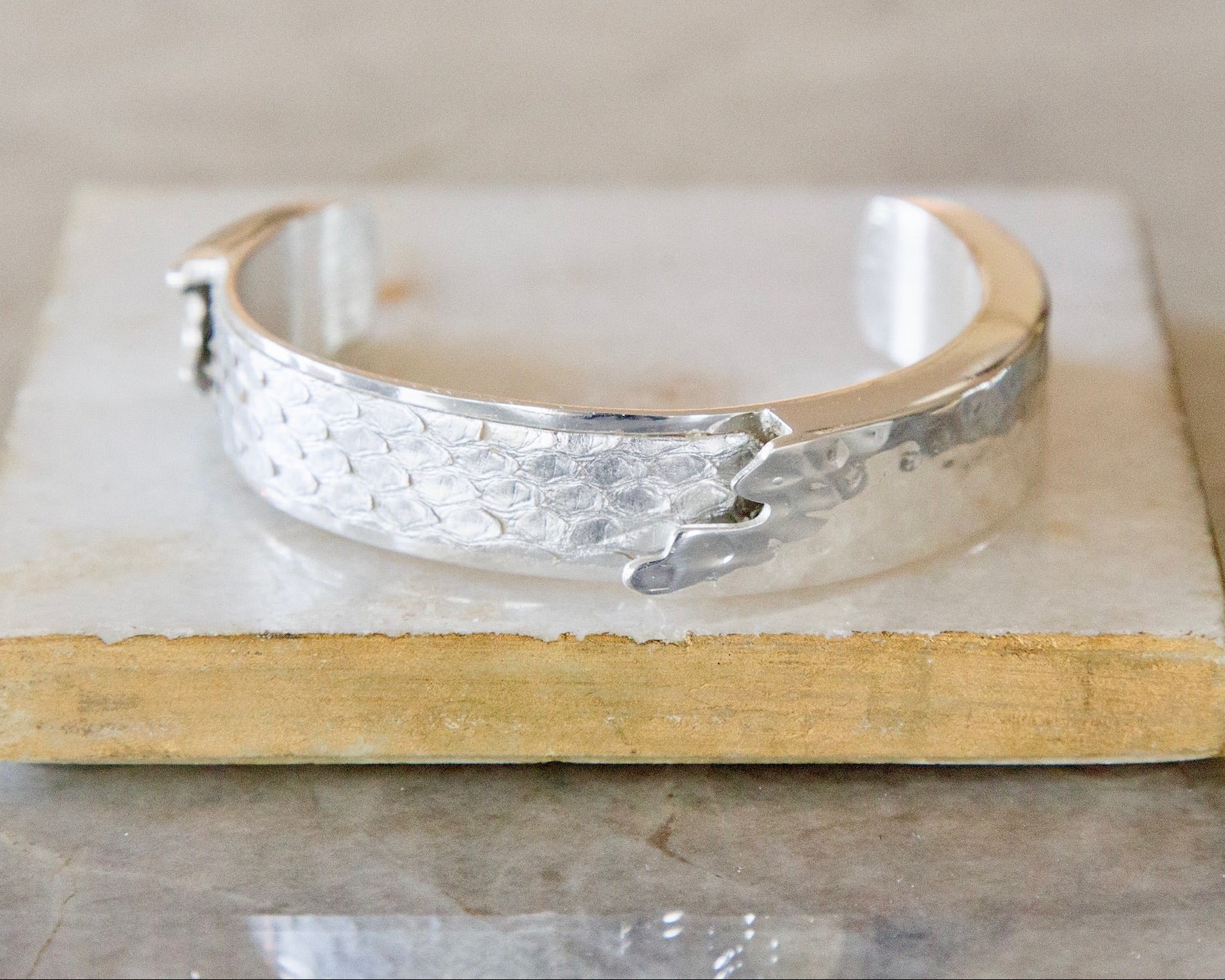 Aspen Silver Python Dallas