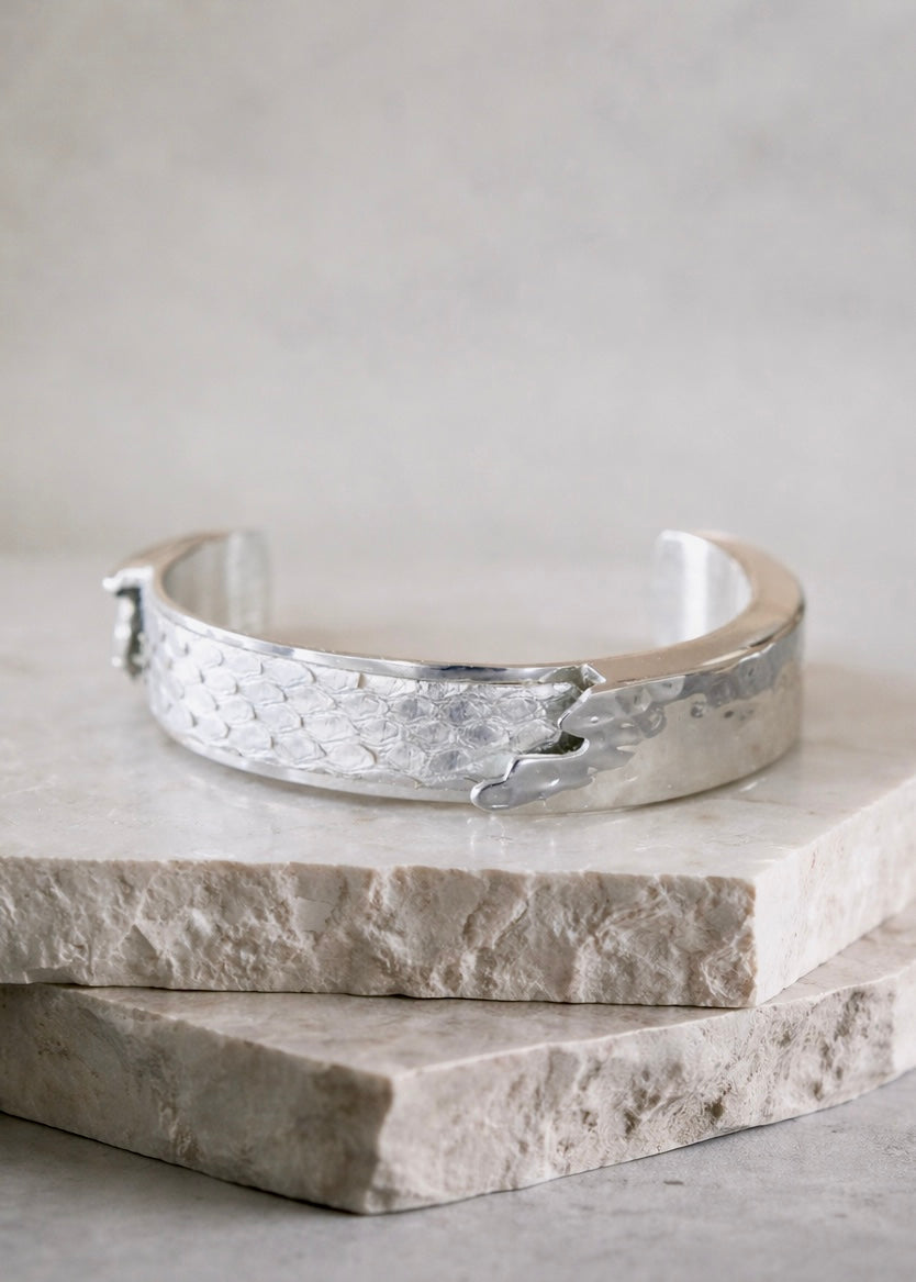 Aspen Silver Python Dallas