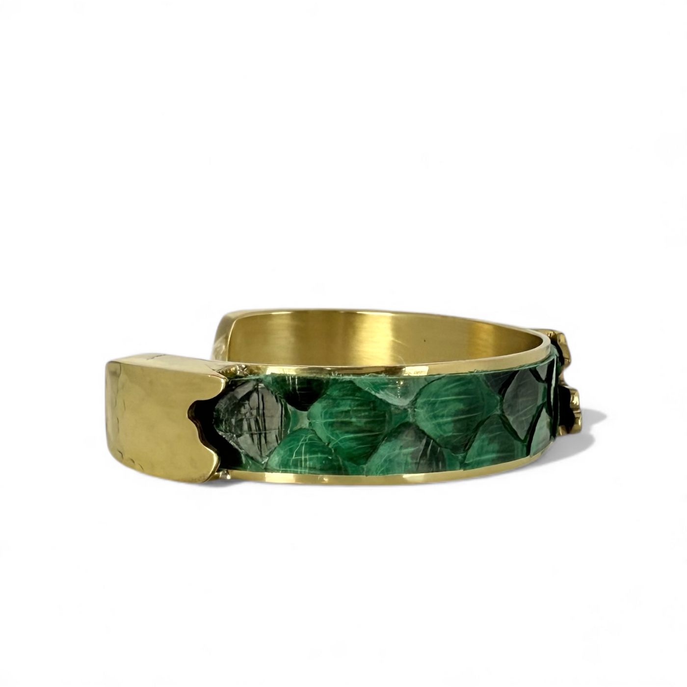 Day 6: Dallas .5 Evergreen Python - Gold + Santa Pouch