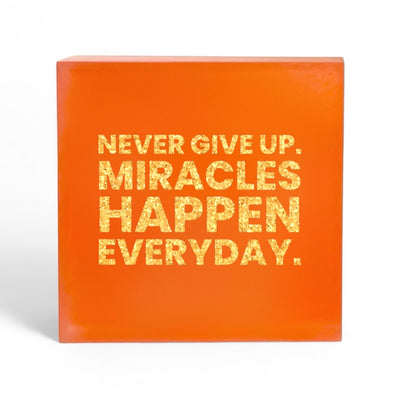 Never Give Up