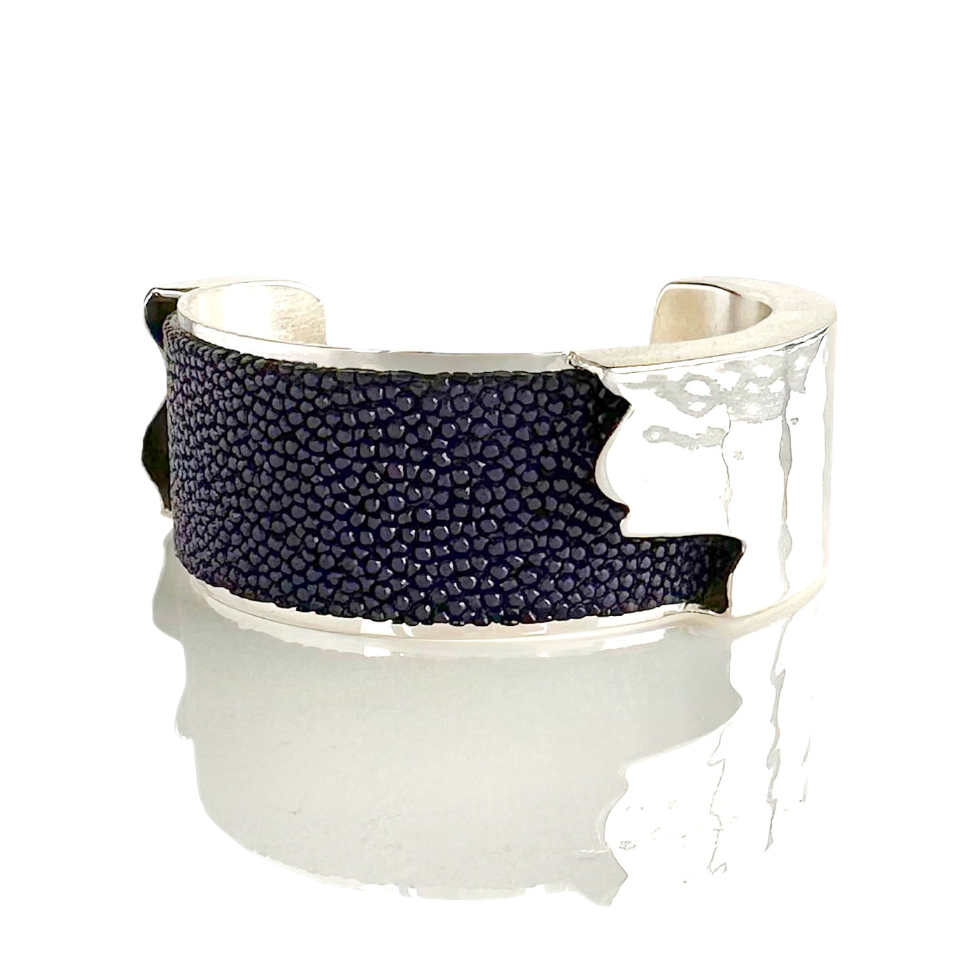 Dallas Stingray 1.0 Silver - Navy Blue